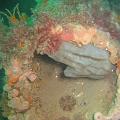 eutokia 11 giugno 1005 017